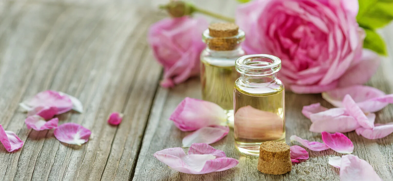 Цветы дамасской розы